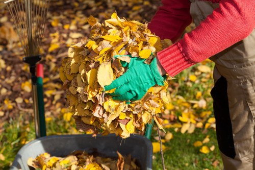 Professional garden clearance services in Deptford