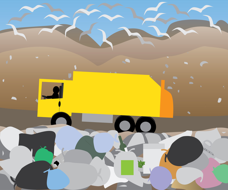 Sustainable Solutions for Cardboard and Packaging Waste Management